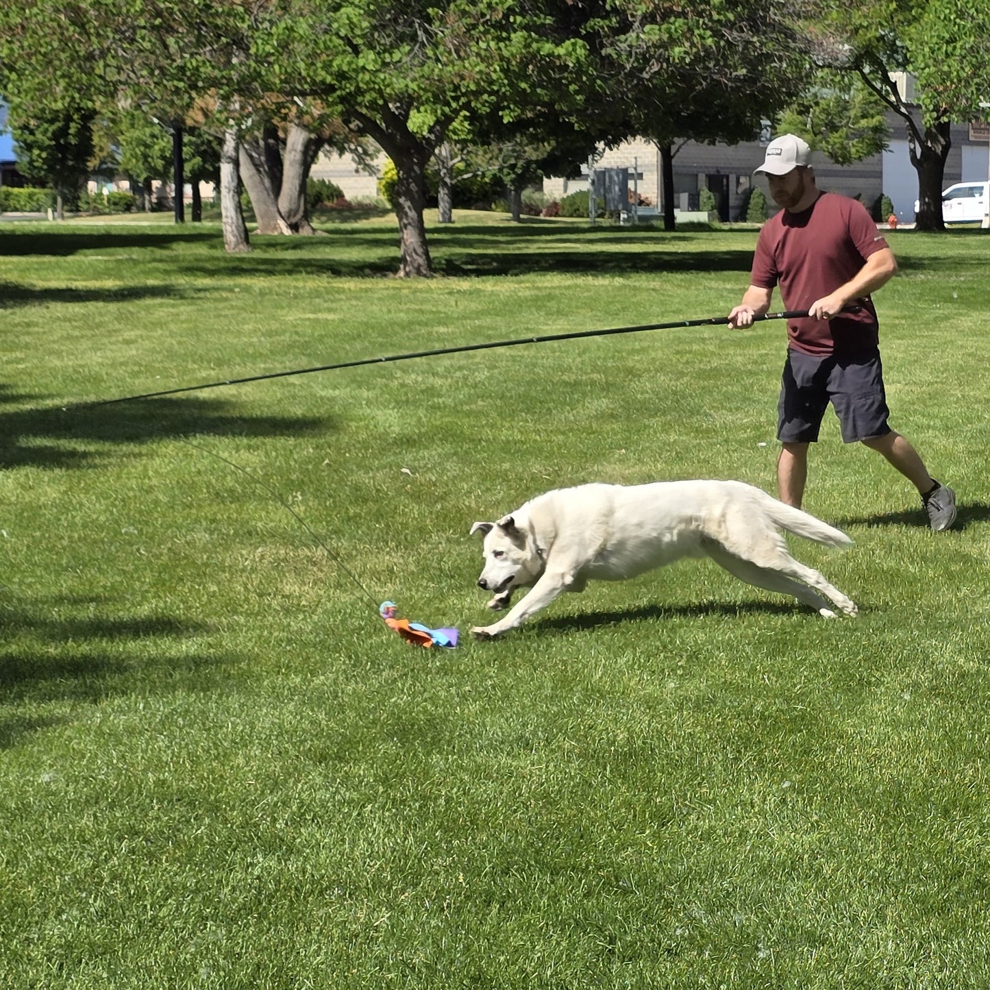 6 ft. Extendable K9 Caster
