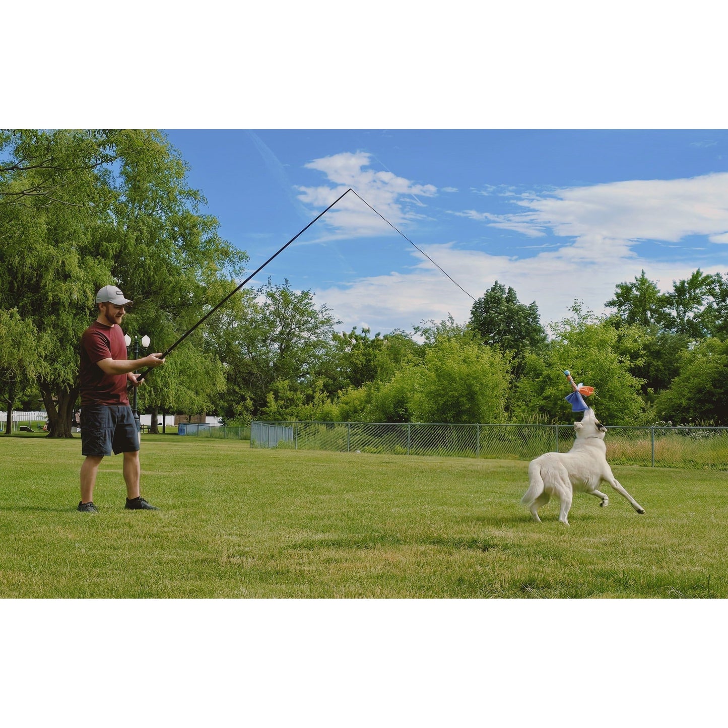 10ft. Extendable K9 Caster
