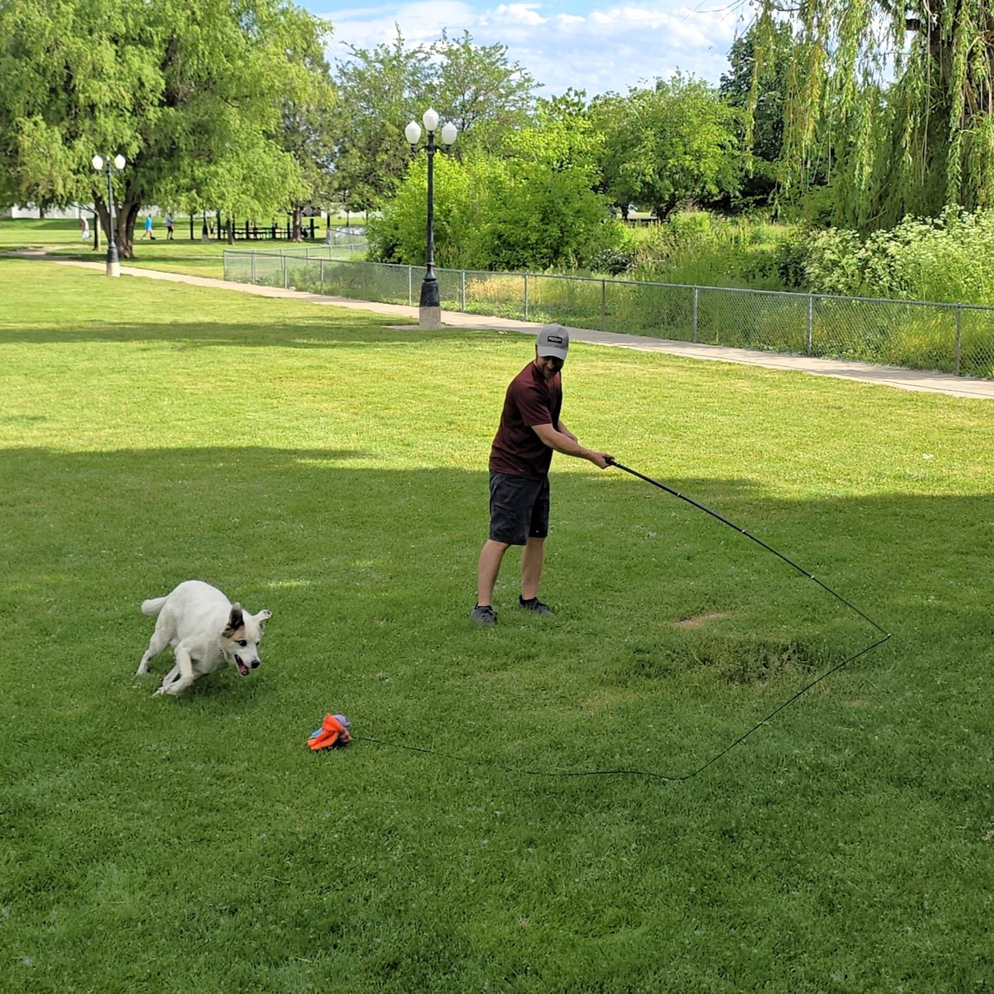 10ft. Extendable K9 Caster