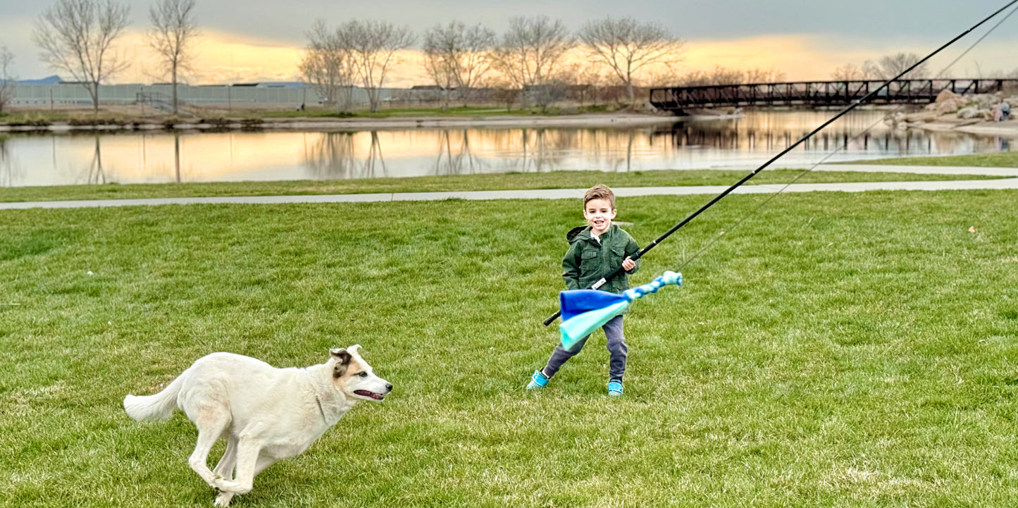 10ft. Extendable K9 Caster