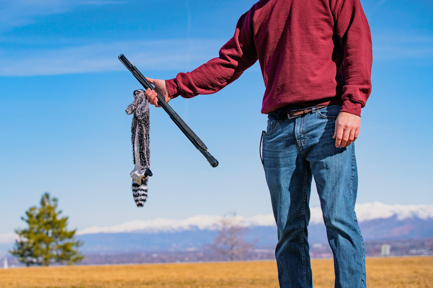 10ft. Extendable K9 Caster